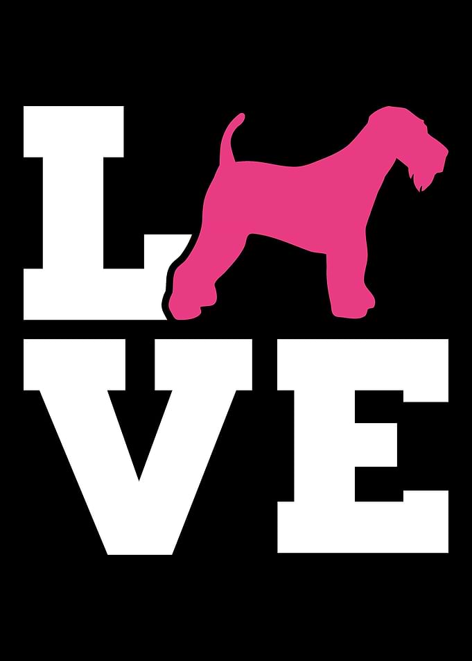 Airedale Terrier