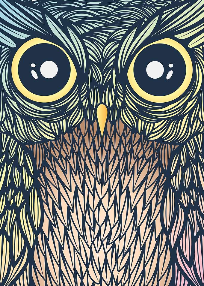 Owl Vision