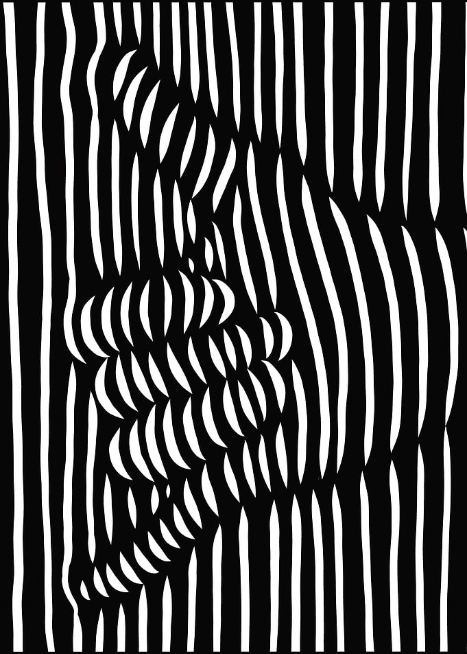 Optical Illusion Hangloose