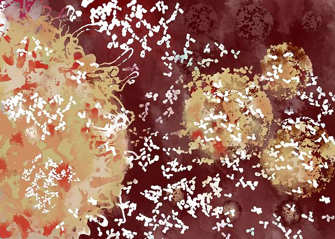 Immune response to a virus