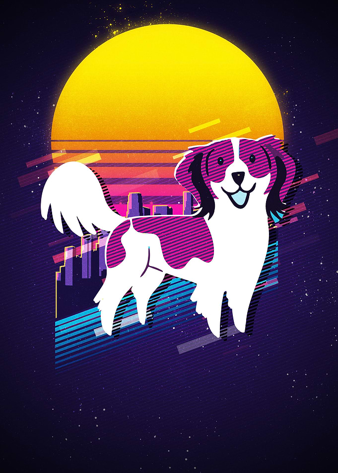 Kooikerhondje