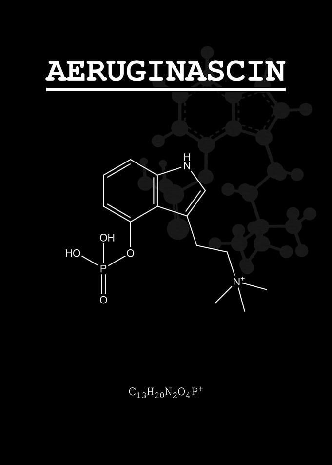 Psychedelic Aeruginascin