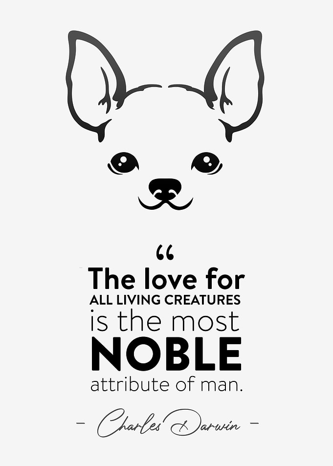 Charles Darwin Quote
