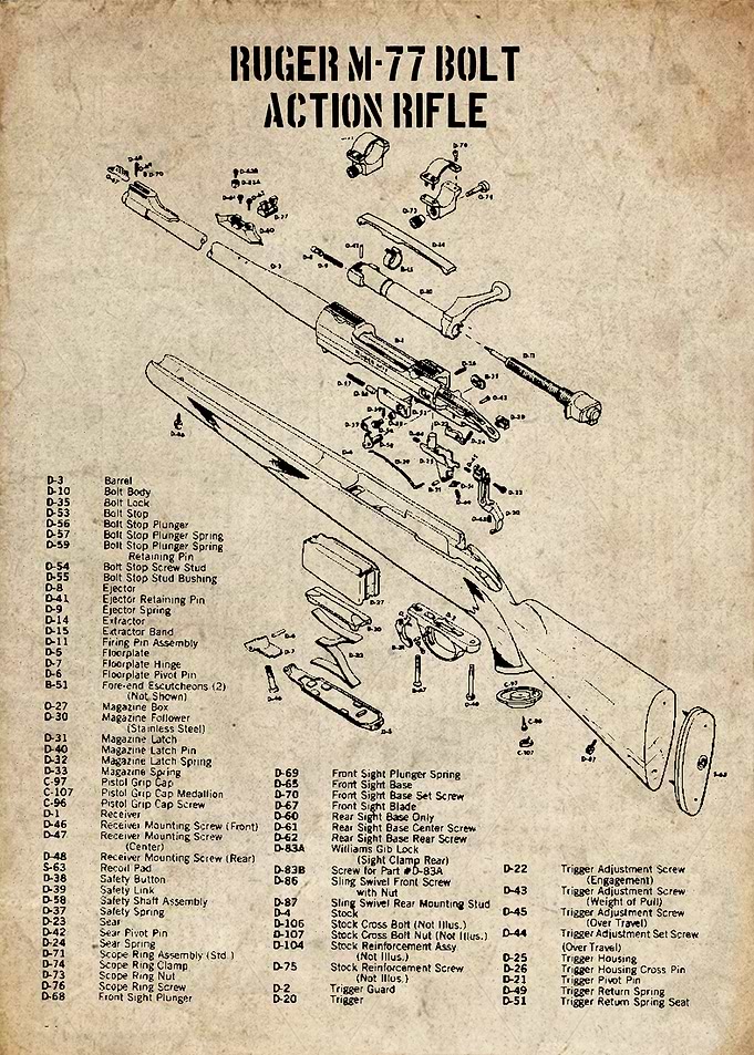 ruger m77 bolt