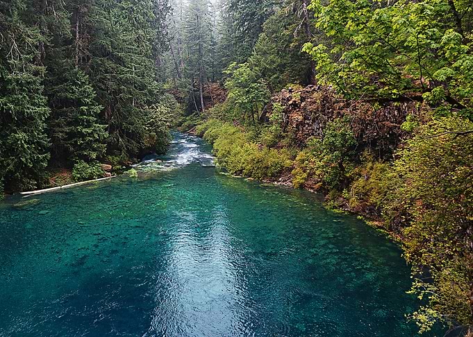 Nature
