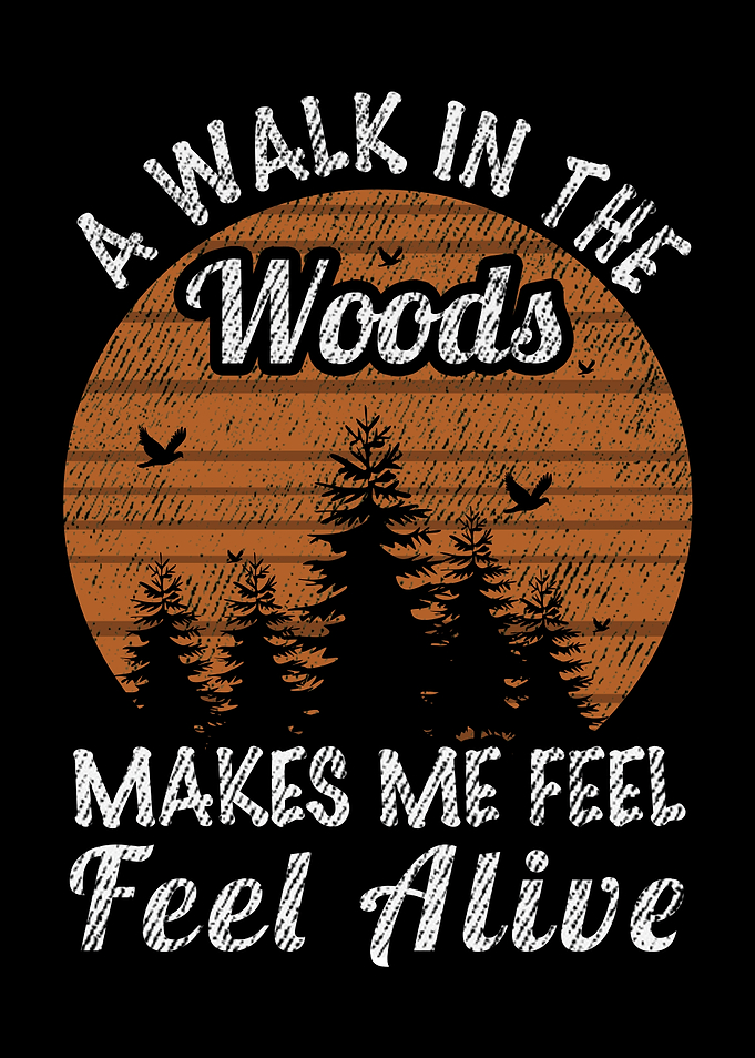 A Walk In The Woods
