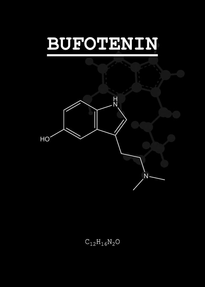 Psychedelic Bufotenin