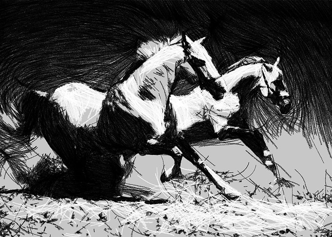 Wild horses