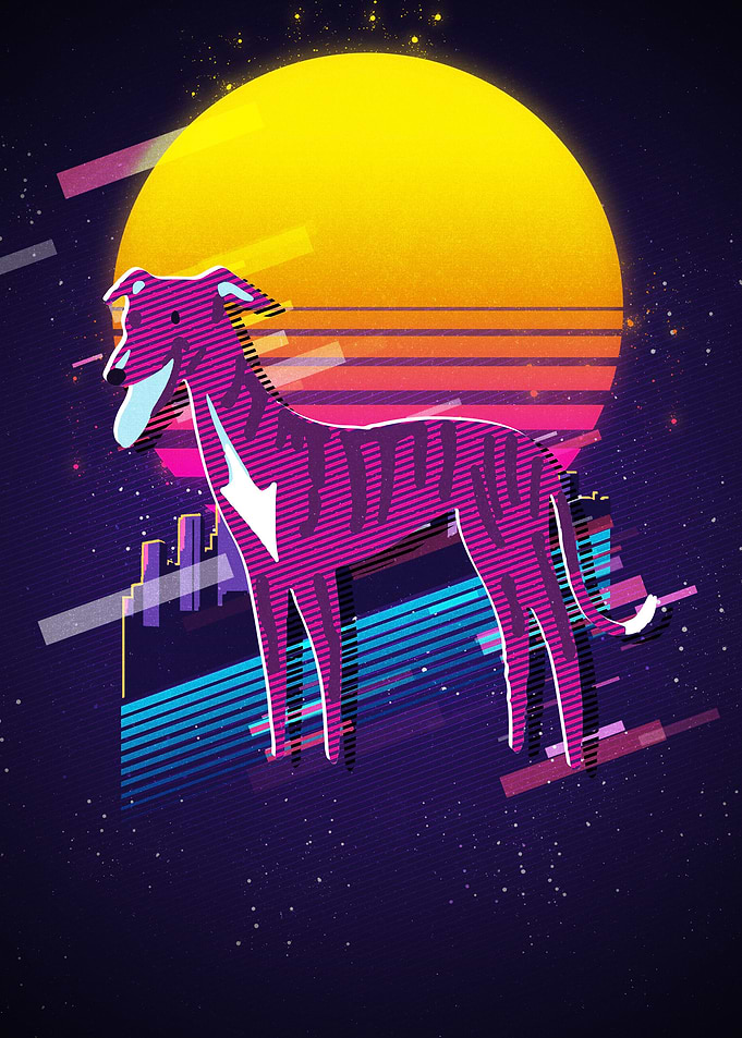 Galgo Espanol