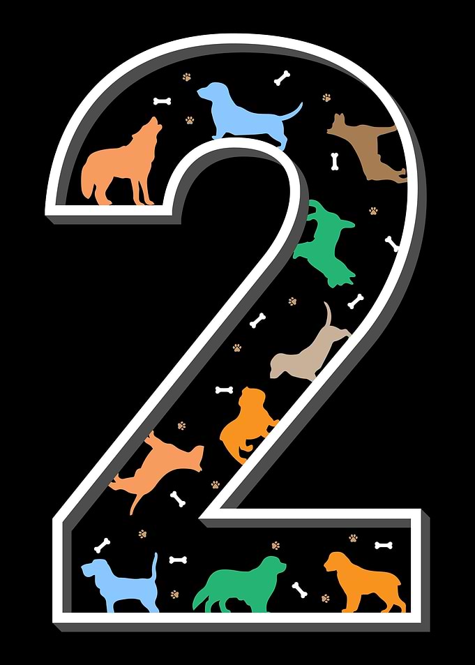 2 second birthday dog