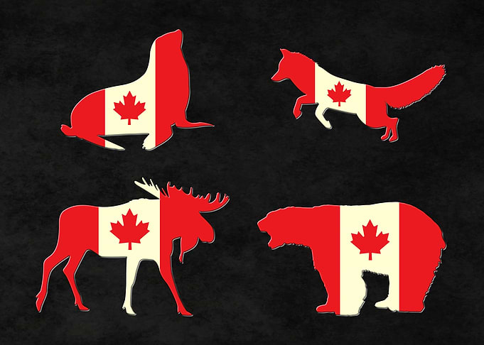 Canada Animal Maple Leaf