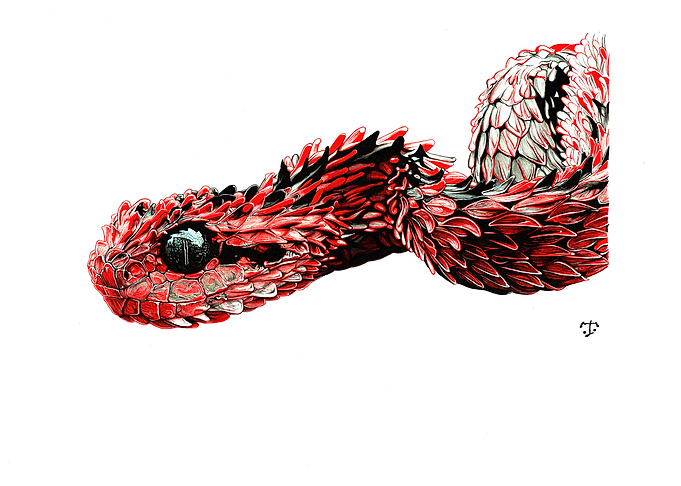 Caput Draconis