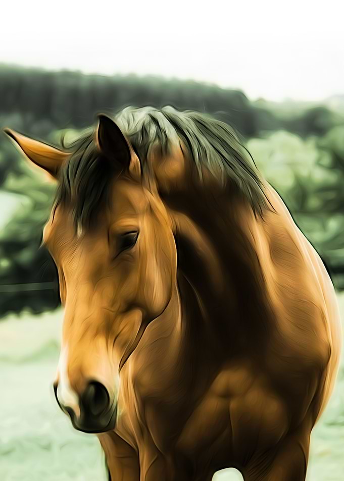 Buckskin Horse