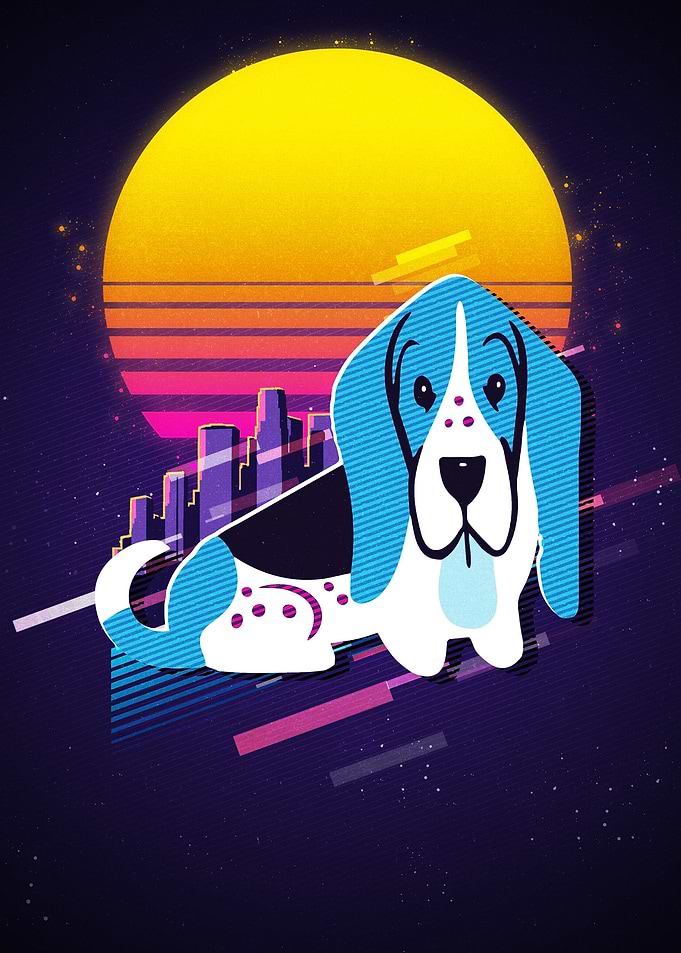 Basset Hound