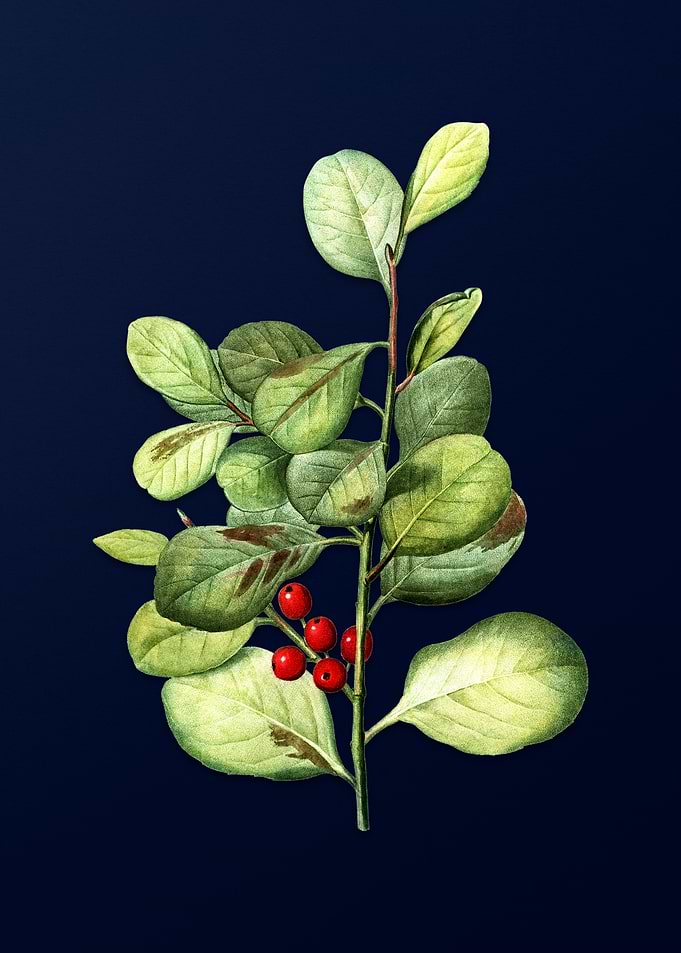 Vintage Branch Painting