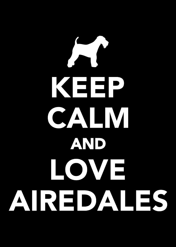 Airedale Terrier
