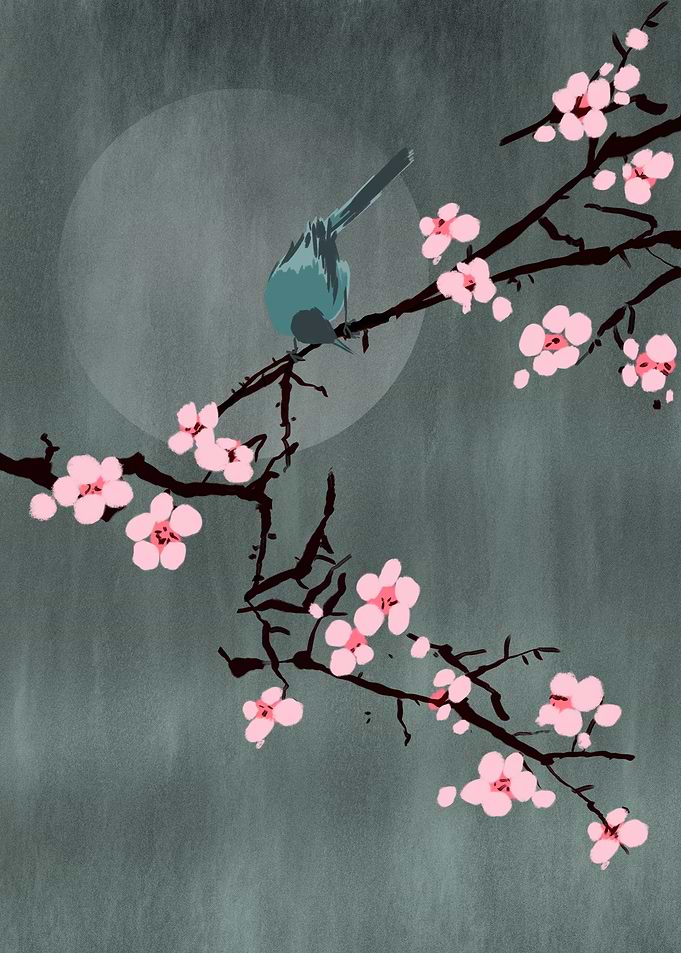 Cherry blossom and bird