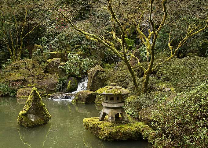 Nature