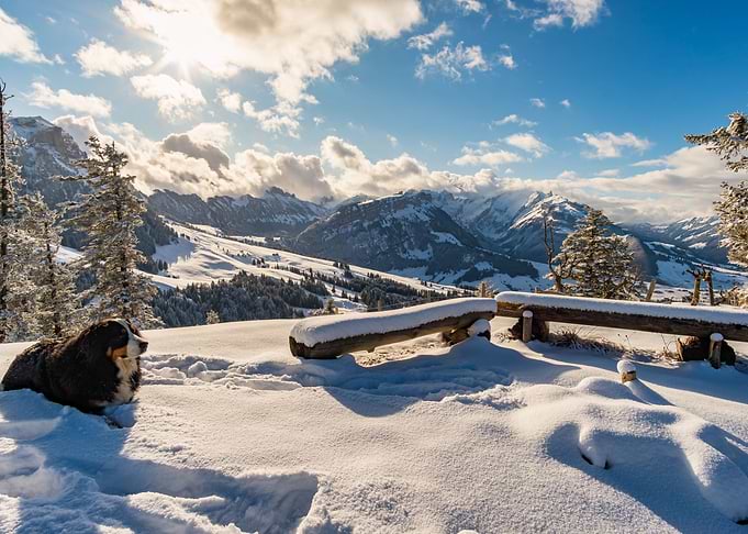 Alpstein Mountain Swiss