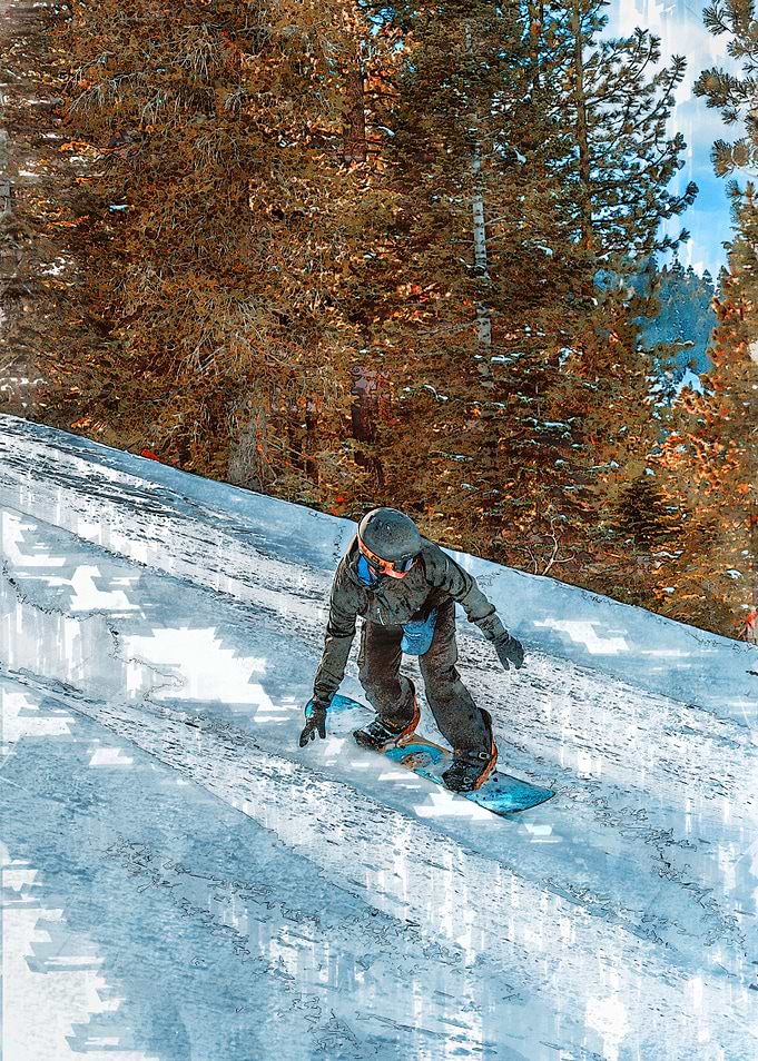 Snowboard Pro Skills