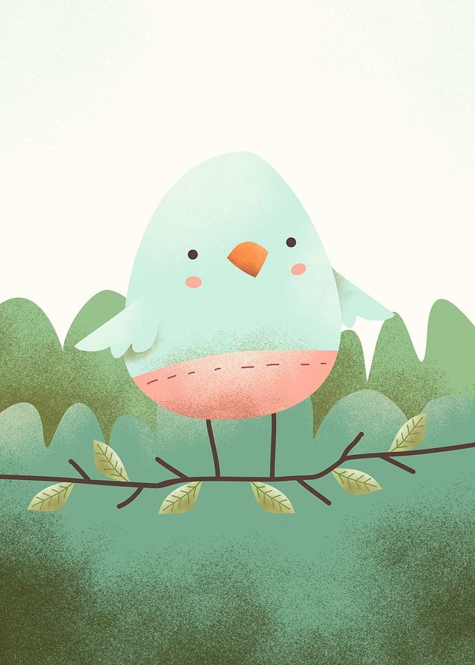 Little bird