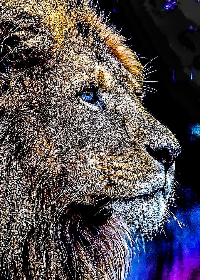 Animals 84