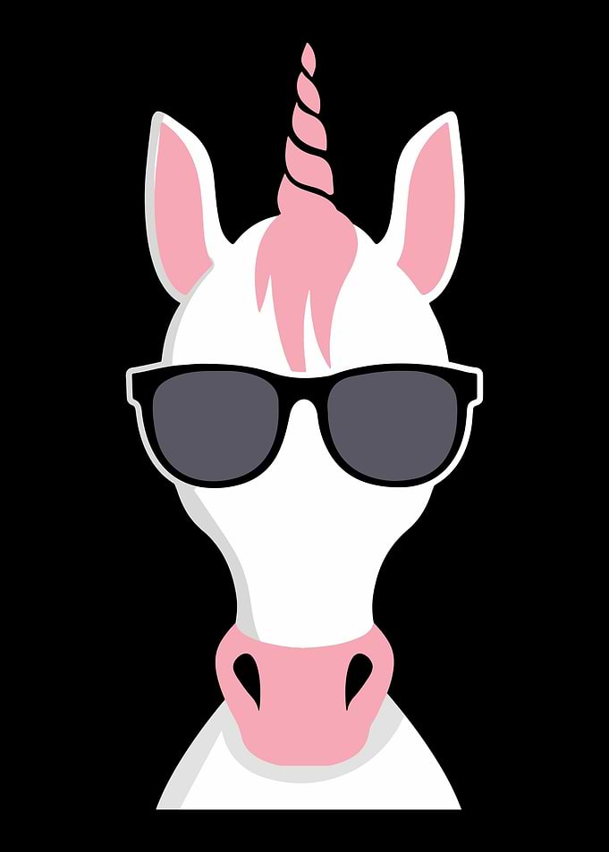 Unicorn mi Glasses