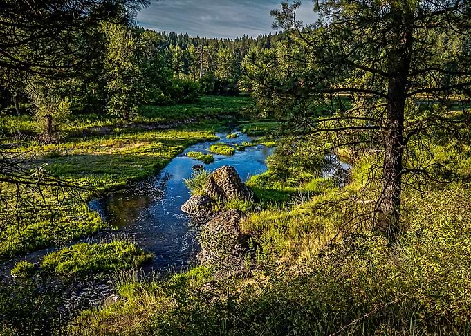 Nature