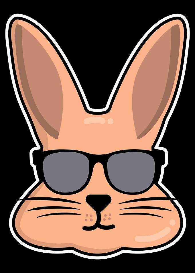 Rabbit rabbit glasses