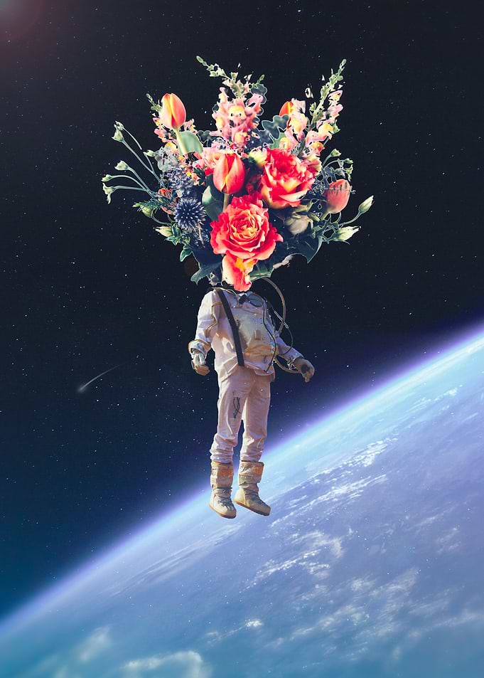 Floral Burst