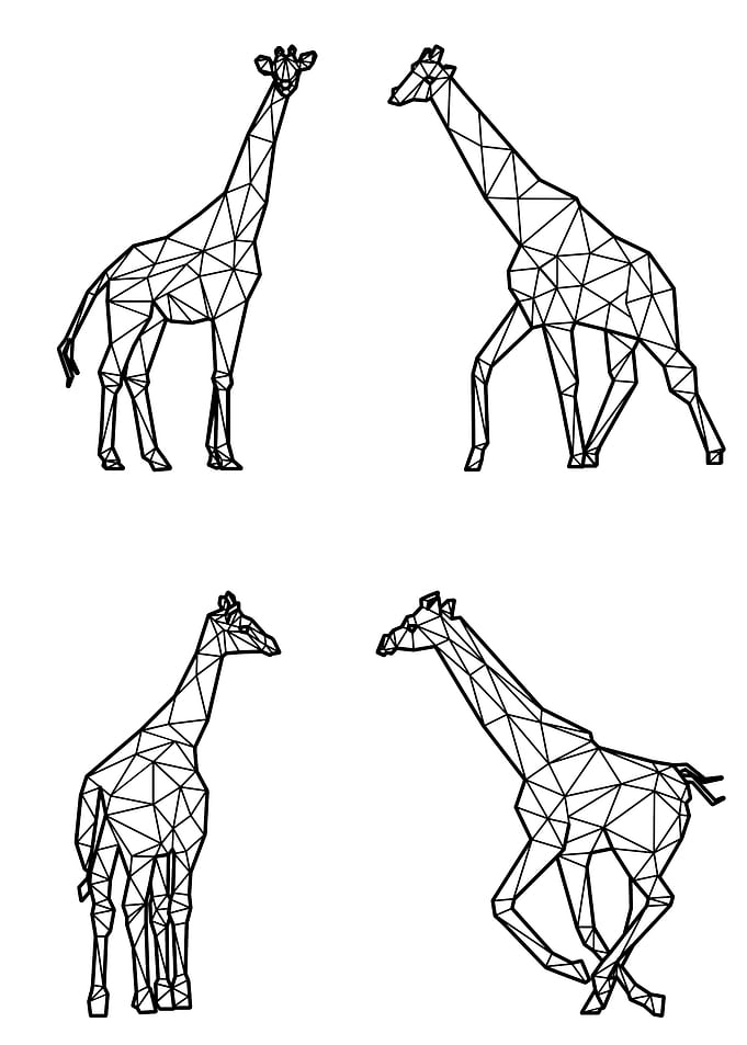 Polygon Giraffe