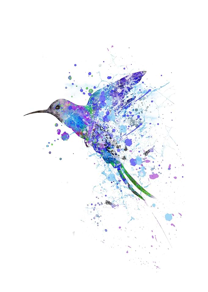 Hummingbird
