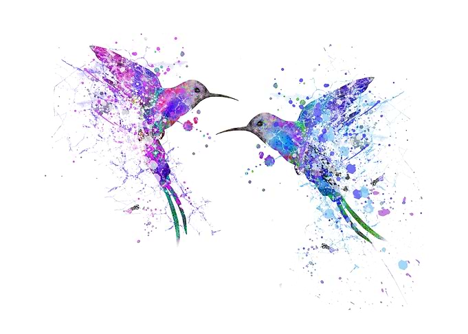 Hummingbird