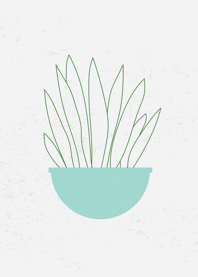 Minimalist Plant 4