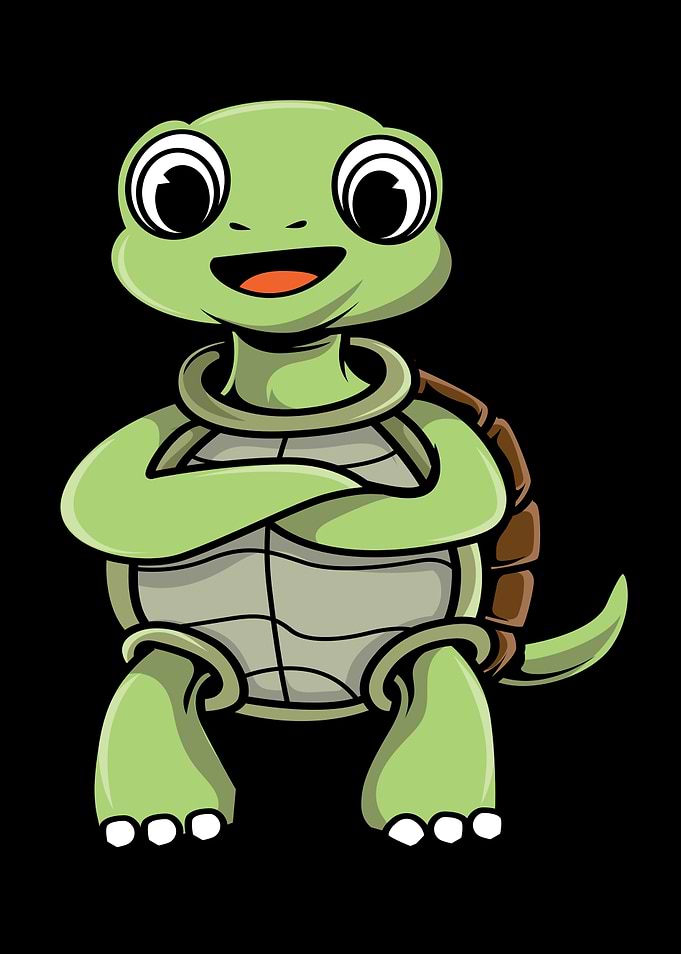 Turtle