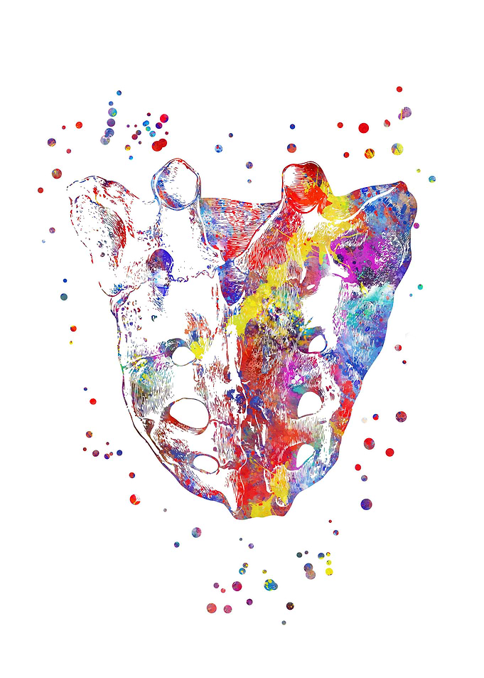 Sacrum