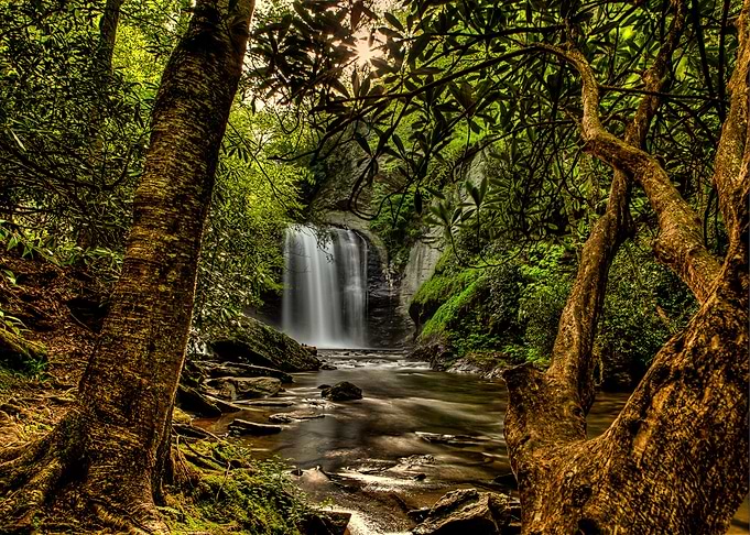 Nature