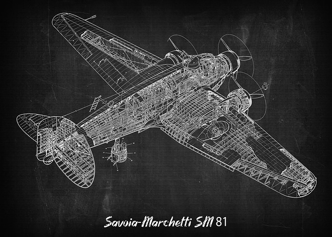 SavoiaMarchetti SM 81
