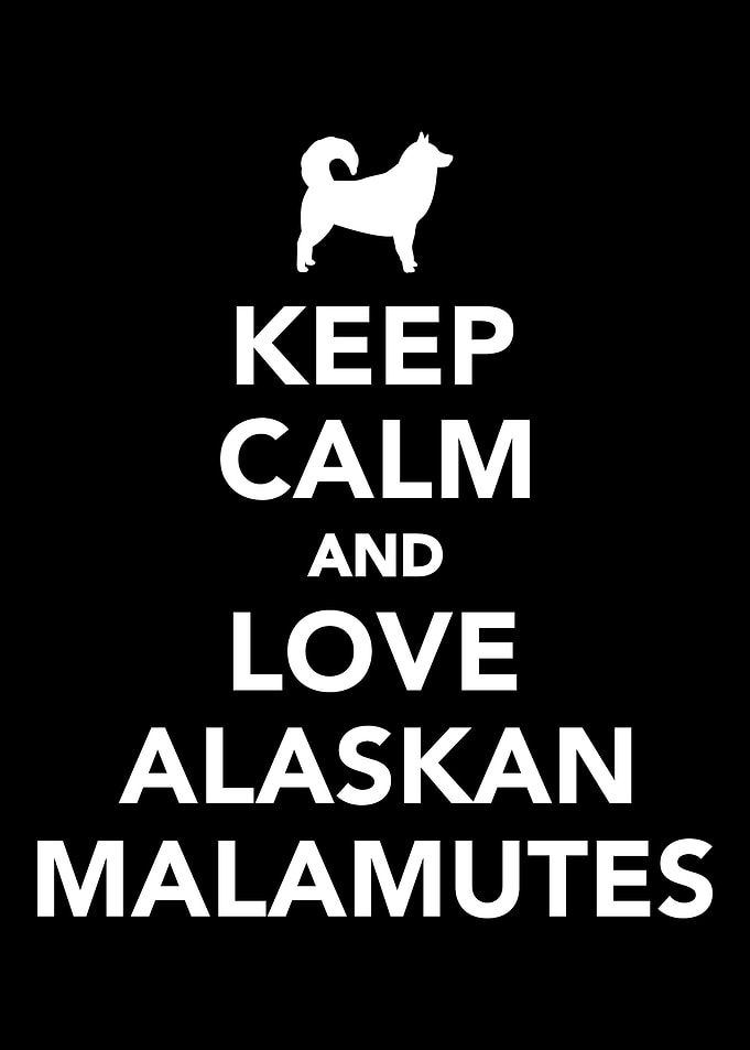 Alaskan Malamute