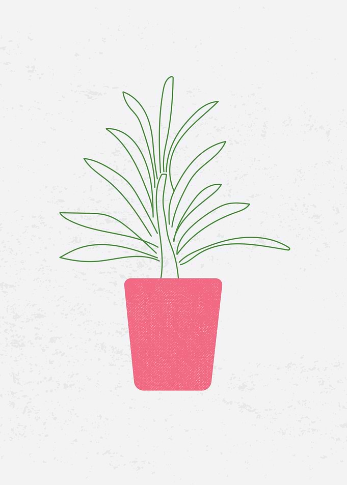 Minimalist Plant 2