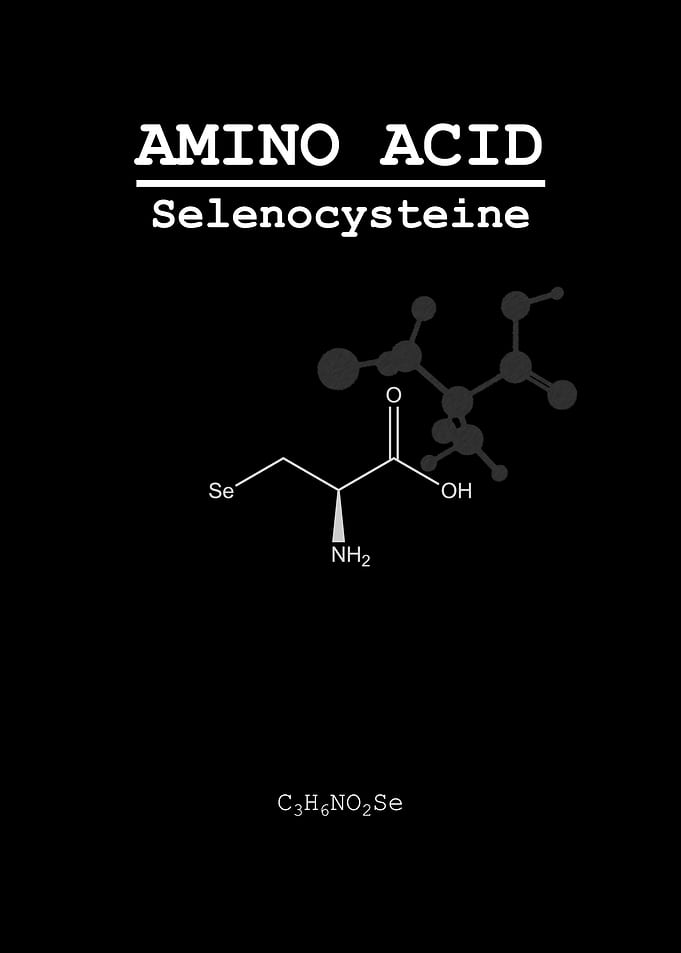 Selenocysteine