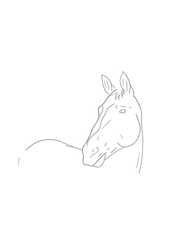 Line Art Horse