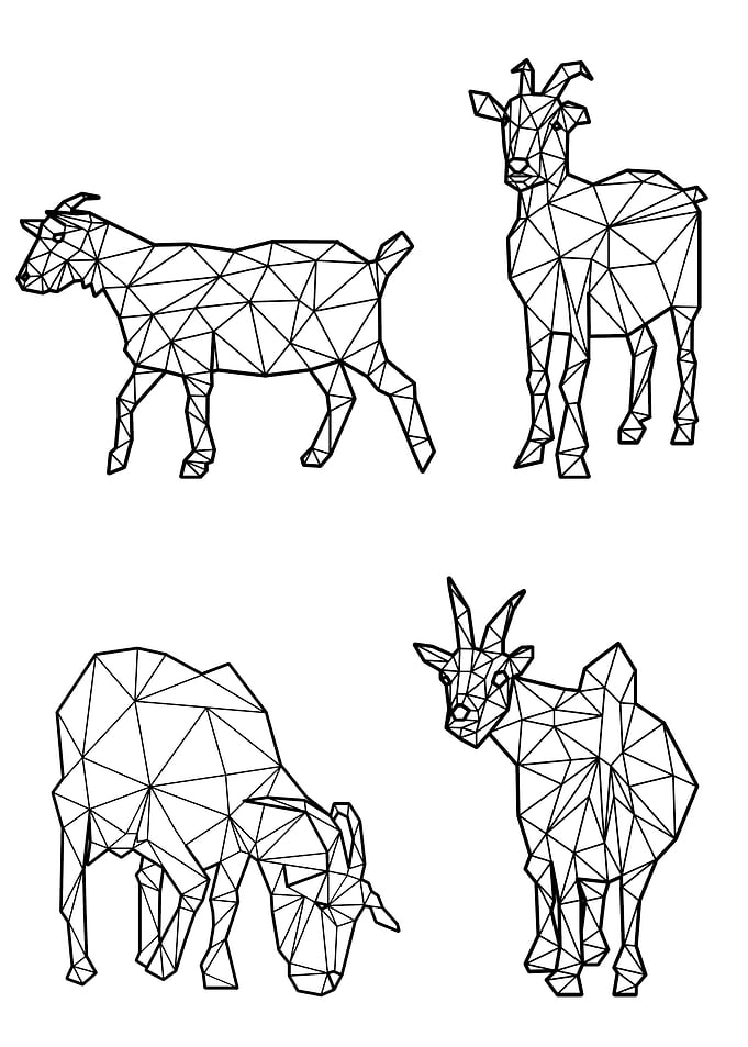 Polygon Goat
