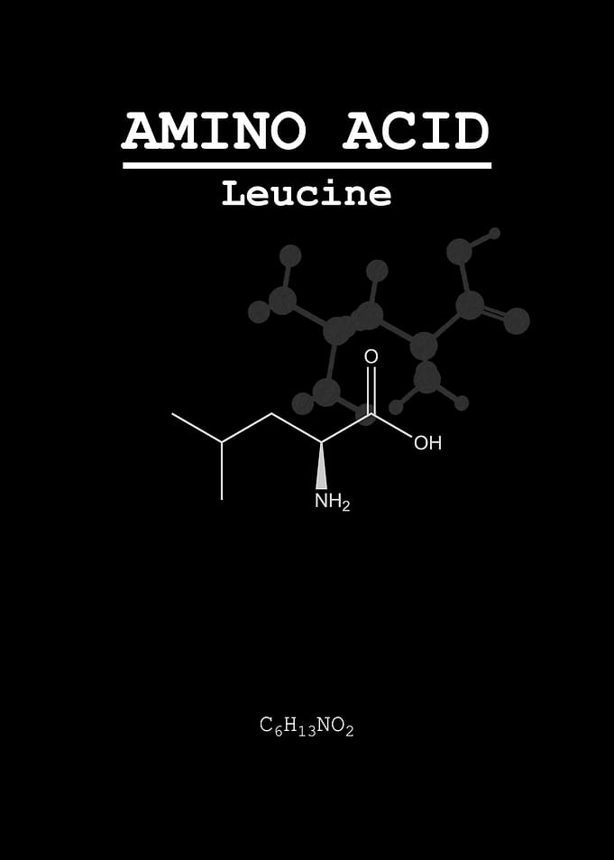 Leucine