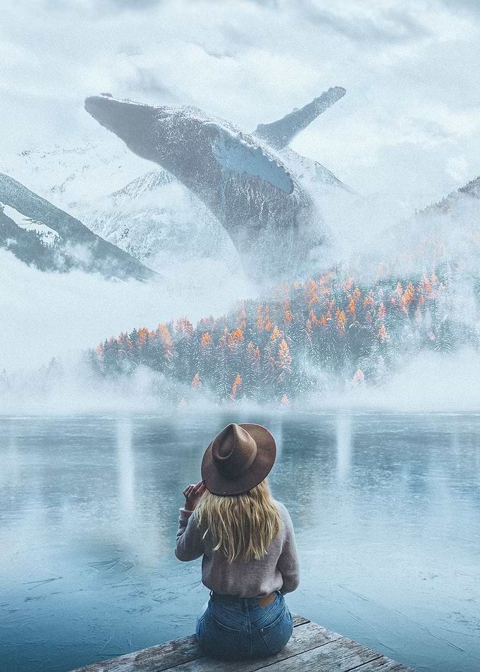 Whale Watching