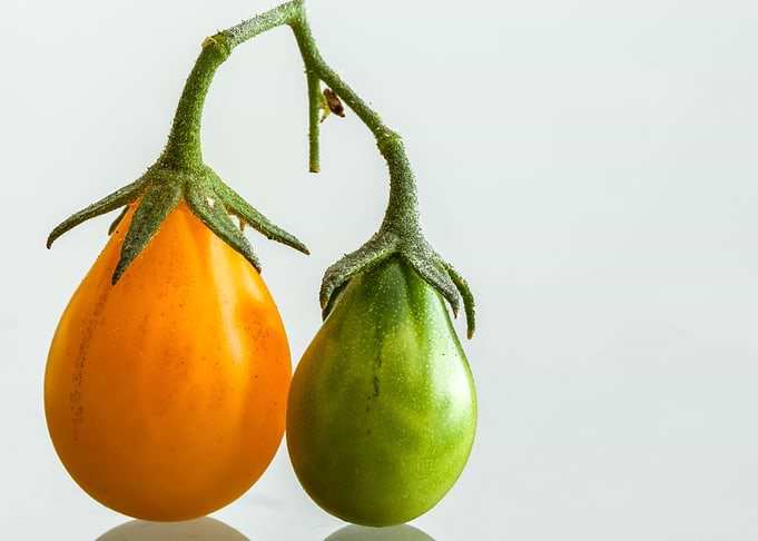 Cherry Tomatoes