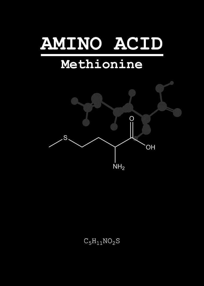 Methionine