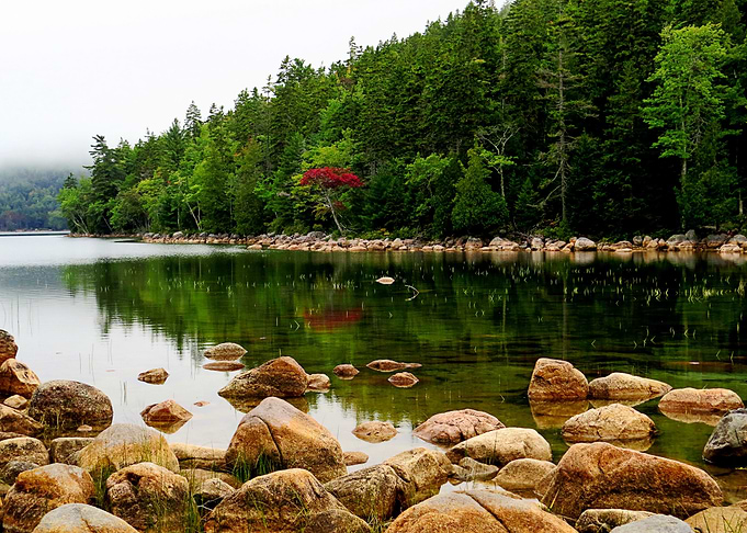 Nature