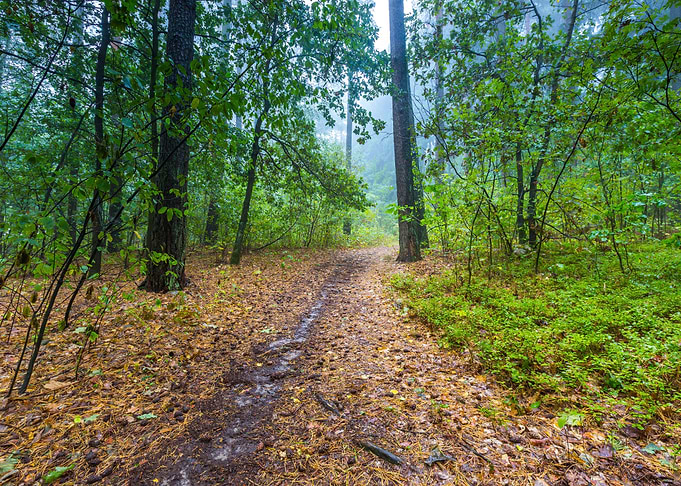 Season Landscape Nature Pa