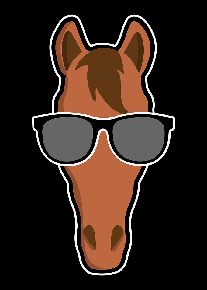 Horse with glasses